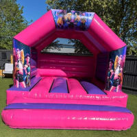 Pink And Purple Bouncy Castle