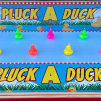 Pluck A Duck Game