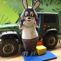 Bunny Mascot