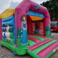 14ft X 16ft Princess Palace Bounce And Slide