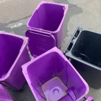 Bin Collection