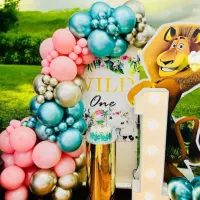 Themed Party Decor Back Drops