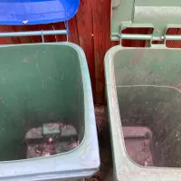 Bin Collection