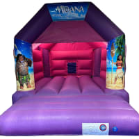 Pink And Purple Bouncy Castle 11ft X 15ft