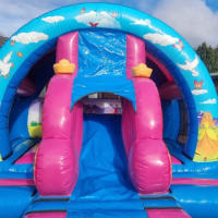 3d Princess Carriage Slide Bouncy Castle