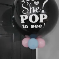 Gender Reveal Balloon