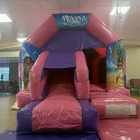 Pink And Purple Combi 16ft X 12ft