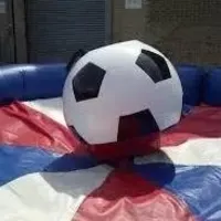 Rodeo Bull Hire 2 Hours