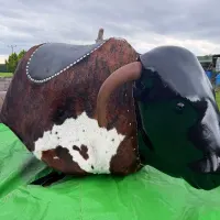 Mechanical Rodeo Bull