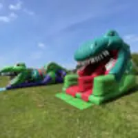 Double Dinosaur 3d Package