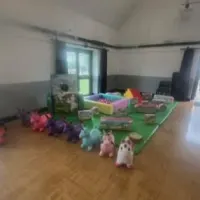 Gold Unicorn Package 3