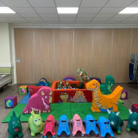 Dinosaur Soft Play