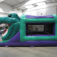 3d Dinosaur Combi Castle With Front Facing Slide