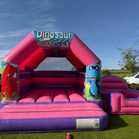 Wide Pink And Purple Bouncy Castle 12ft X 15ft