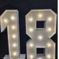 Number Lights 4ft 0-9 Available