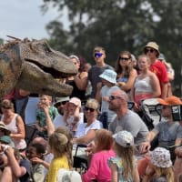 Dinomania Dino Discovery Zone