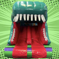 Dinosaur 3d Twin Slide Bouncy Castle