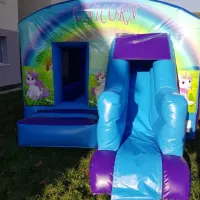 Ultimate Unicorn Slide Party Package