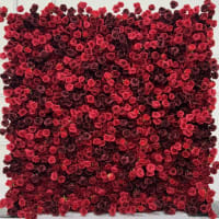 Mixed Red Rose Flower Wall