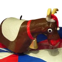 Rodeo Xmas Pudding Hire