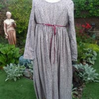 Regency Drawstring Bodice Dress