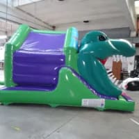 3d Dinosaur Front Slide Combi