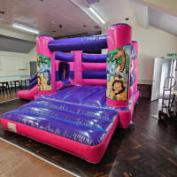 Jungle 18ft X 14ft H Frame Pink And Purple Side Slide Combi