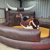 Rodeo Bull And Rodeo Hoopla