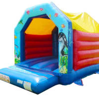 10ft X 10ft Underwater Themed Bouncy Castle