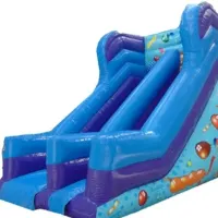 Party 10ft Slide