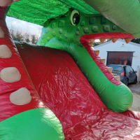 9.8ft Crocodile Slide