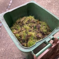 Garden Bin Collection