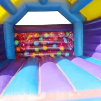 15ft X 18ft Celebration Adult Bouncy Castle