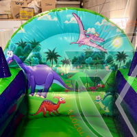 7ft X 6ft Dinosaur Ball Pool With Jugglers