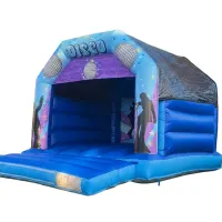 Disco Castle