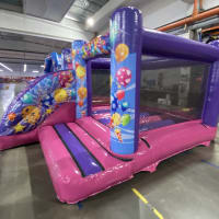 Pink And Purple Front Slide