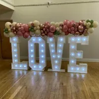 Light Up Letter Hire