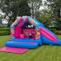 Barbies Dream Castle