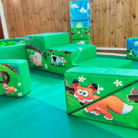 Farmyard Soft Play