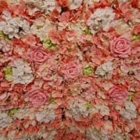 Flower Wall Hire