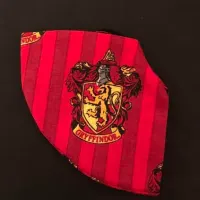 Gryffindor Mask