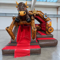Western Rodeo Theme Bouncy Castle