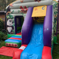 Jungle Castle With Slide