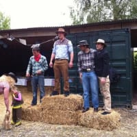 Rodeo Bull Hire 2 Hours