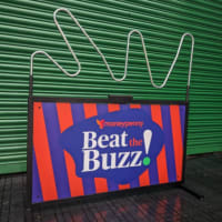 Buzz Wires