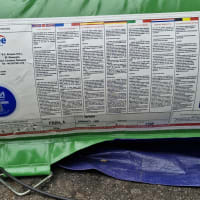 3d Dragons Lair Bouncy Castle With Slide