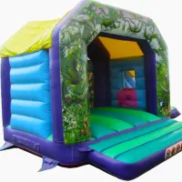 14ft X 16ft Fantasy Bounce And Slide