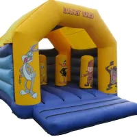 14ft X 14ft Looney Tunes Bouncy Castle