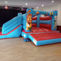 Bounce And Slide Bouncy Castle Decorated With Zebra, Parrot And Lion.