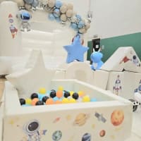 Luxurious Bouncy Castle And Soft Play Party Package